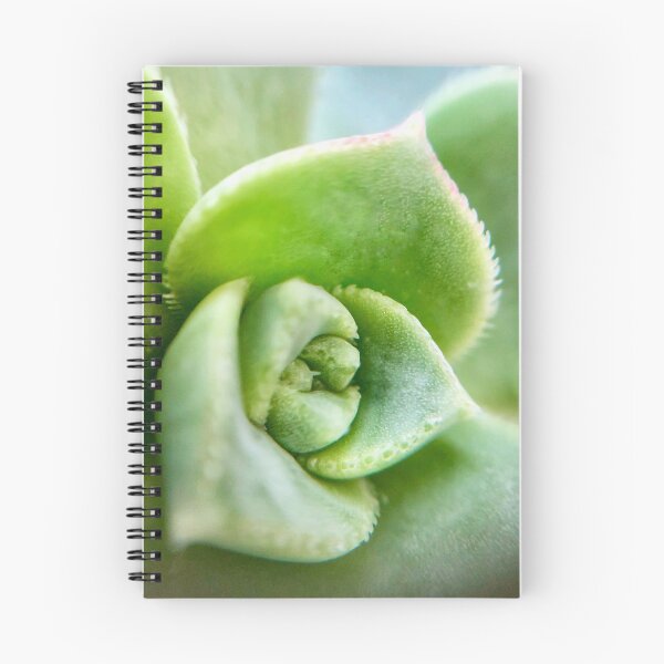 Item preview, Sweet Succulent designed and sold by Helly Peacock.