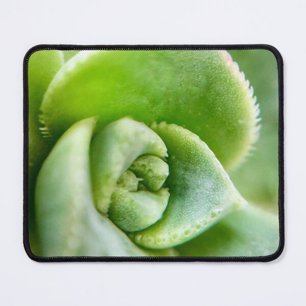 Item preview, Sweet Succulent designed and sold by Helly Peacock.