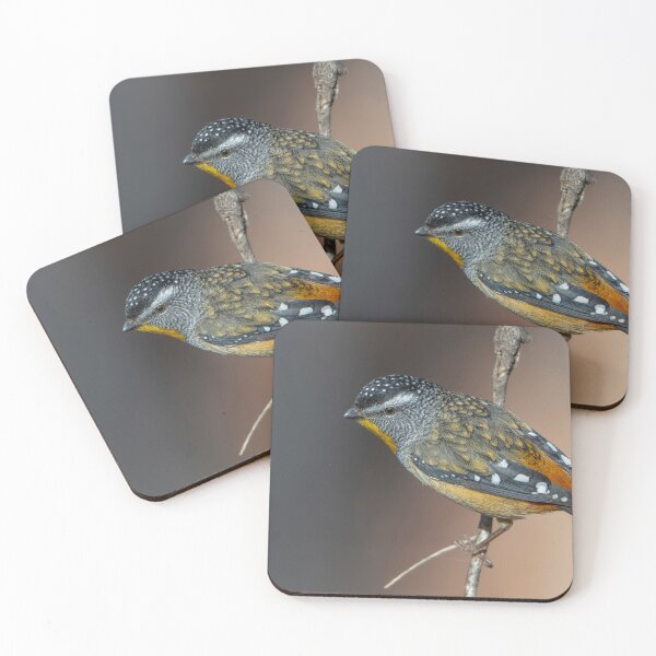 Item preview, Male Spotted Pardalote designed and sold by Nick Vertsonis.