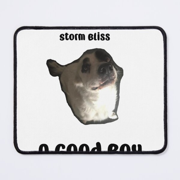 Artikelvorschau, Storm Bliss „Ein guter Junge“ entworfen und verkauft von StormBliss.
