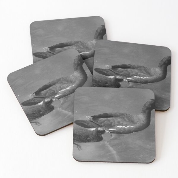 Item preview, Moorhen and Chick Swimming Black And White designed and sold by MercerImages.