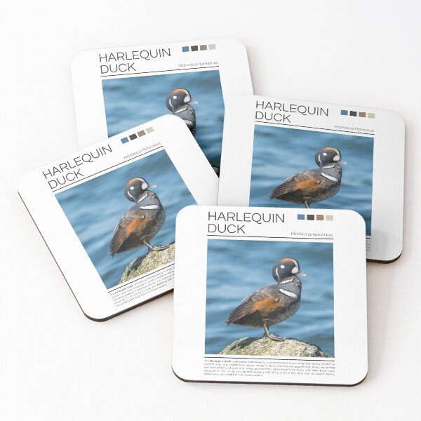 Item preview, Harlequin Duck  designed and sold by StudioRedKoala.
