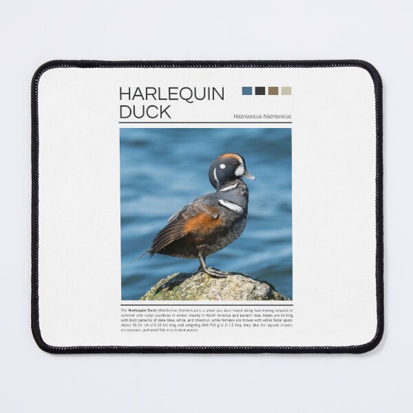 Item preview, Harlequin Duck designed and sold by StudioRedKoala.