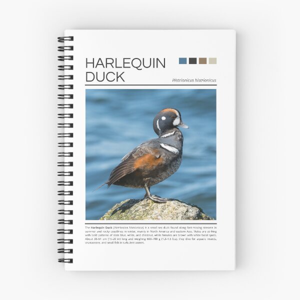 Item preview, Harlequin Duck  designed and sold by StudioRedKoala.