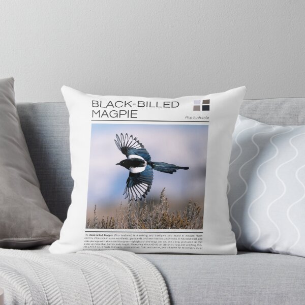Item preview, Black-billed Magpie  designed and sold by StudioRedKoala.