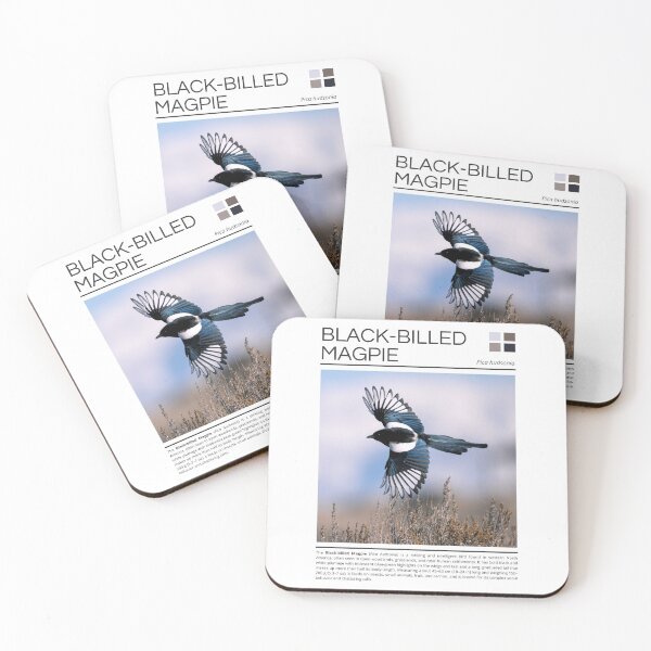 Item preview, Black-billed Magpie  designed and sold by StudioRedKoala.