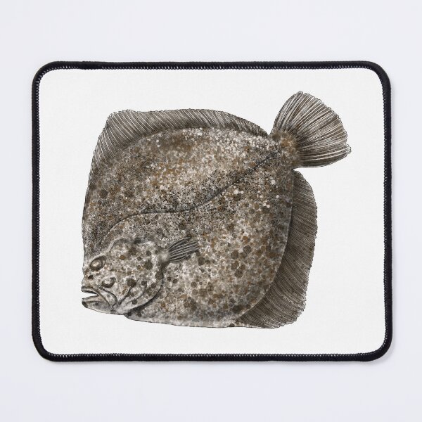 Item preview, Turbot - Scophthalmus maximus designed and sold by TasiaZenzura.