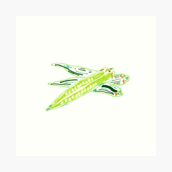 okra in color Art Print