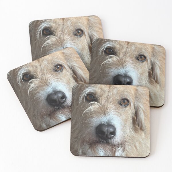 Item preview, Benito designed and sold by BOBBYBABE.