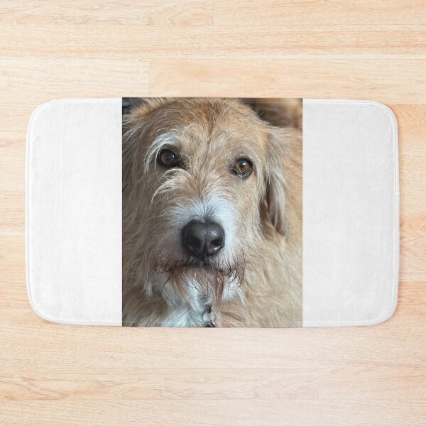 Item preview, Benito designed and sold by BOBBYBABE.