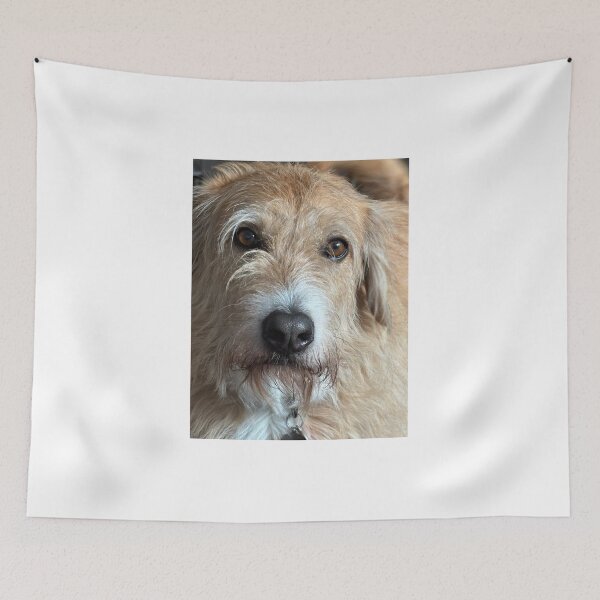 Item preview, Benito designed and sold by BOBBYBABE.
