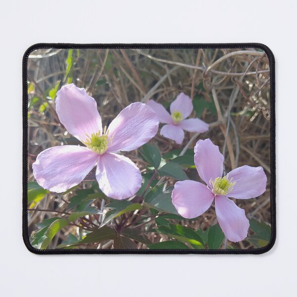 Item preview,  Delicate Pink Flowers Highlighting Natural Beauty designed and sold by CreativeWorld96.
