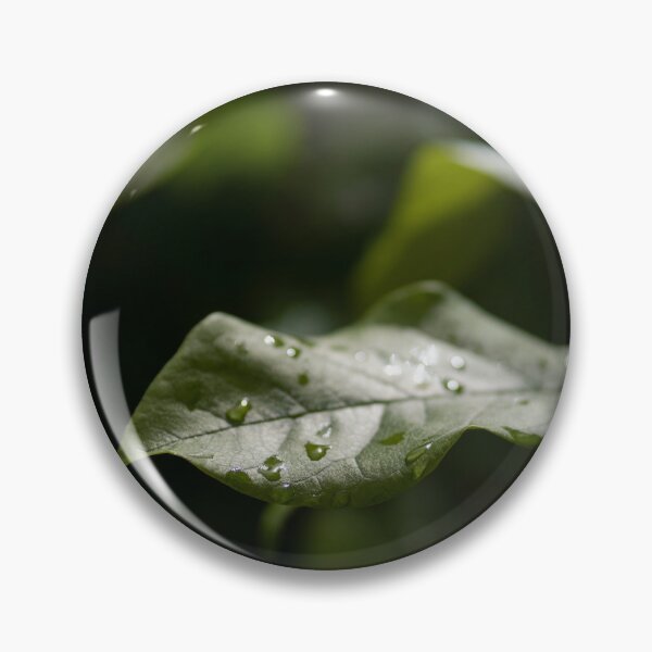 Item preview, Raindrops on green plant designed and sold by RenataPhoto.