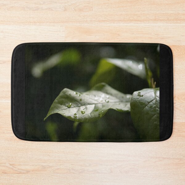 Item preview, Raindrops on green plant designed and sold by RenataPhoto.