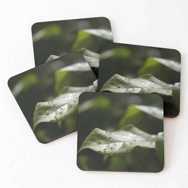 Item preview, Raindrops on green plant designed and sold by RenataPhoto.