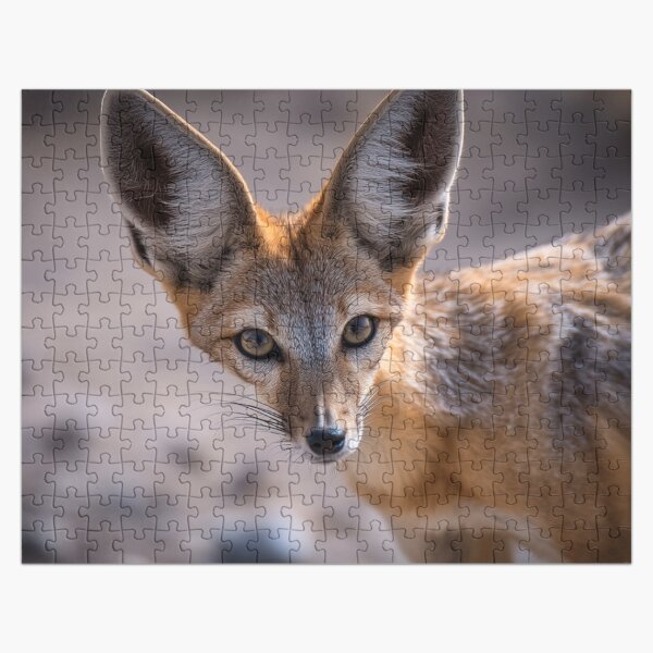 Item preview, Curious Fennec Fox Close-Up designed and sold by JezzAI.