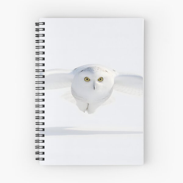 Item preview, Arctic Hunter designed and sold by cryolith7454.