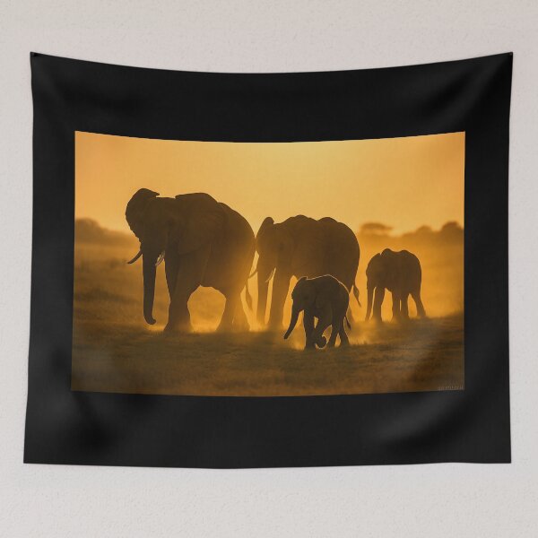 Item preview, Dusk Parade designed and sold by cryolith7454.