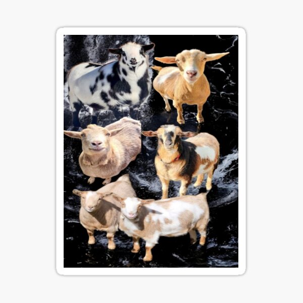 Item preview, Constantine Goats designed and sold by snickles1977.