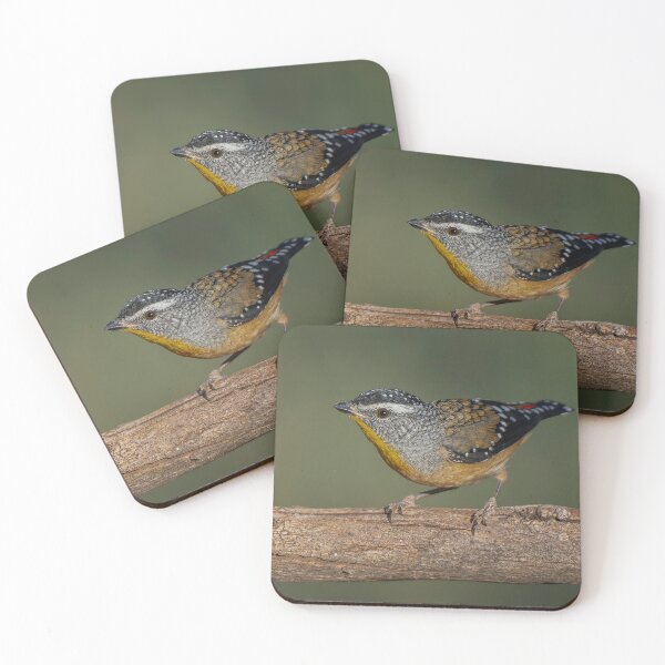 Item preview, Pardalote moteado macho designed and sold by Nick Vertsonis.