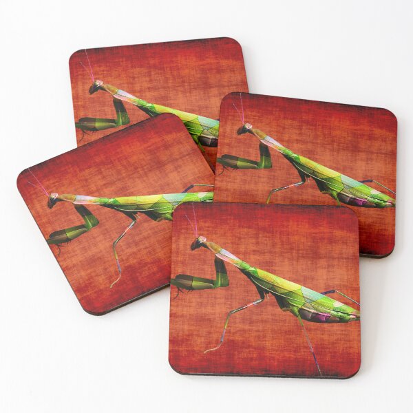 Item preview, Praying Mantis designed and sold by James DeFazio.