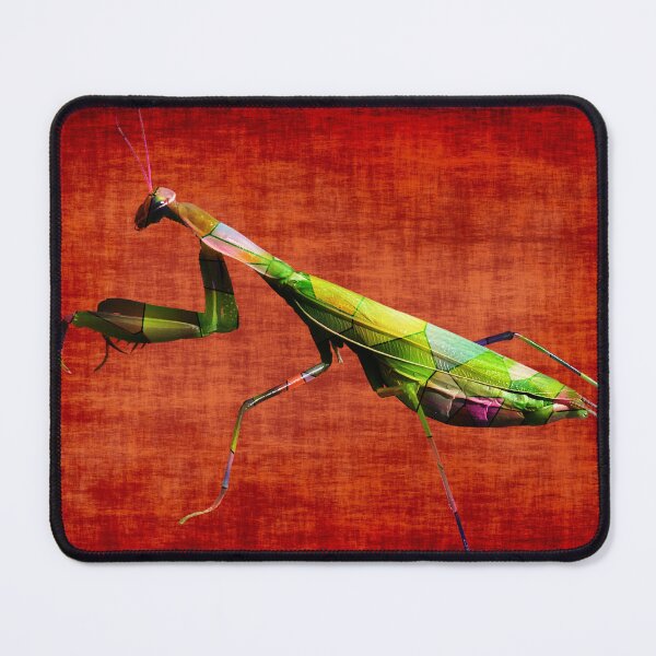 Item preview, Praying Mantis designed and sold by James DeFazio.