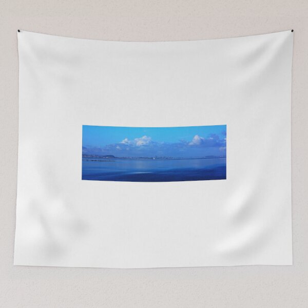 Item preview, San Francisco and the Bay Bridge from Seal Point Park. 2010 designed and sold by Igor Pozdnyakov.