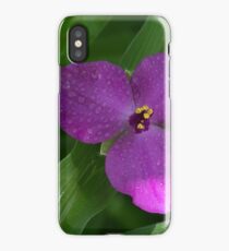 Garden Flowers With Water Drops Close Up View. iPhone Case