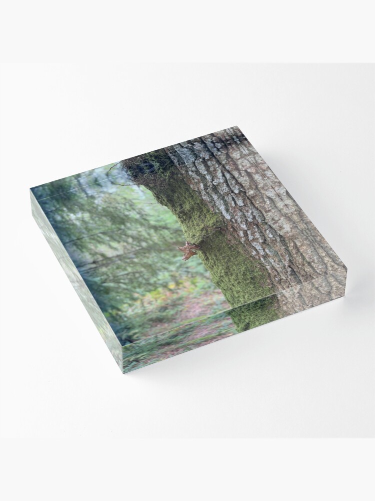 Thumbnail 3 of 5, Acrylic Block, Moss and Bark designed and sold by ShaneH29.
