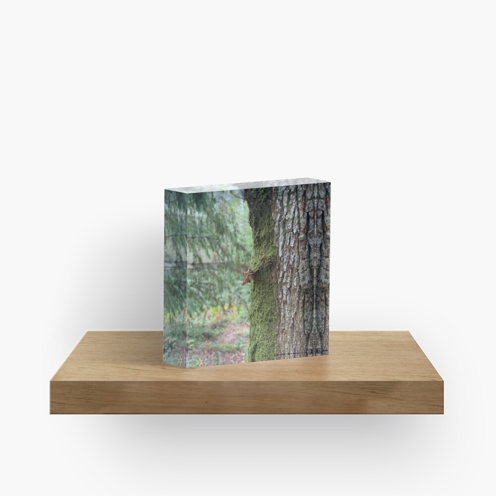 Item preview, Acrylic Block designed and sold by ShaneH29.