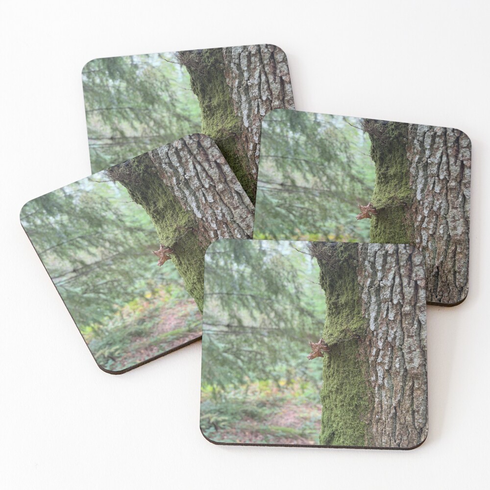 Item preview, Coasters (Set of 4) designed and sold by ShaneH29.