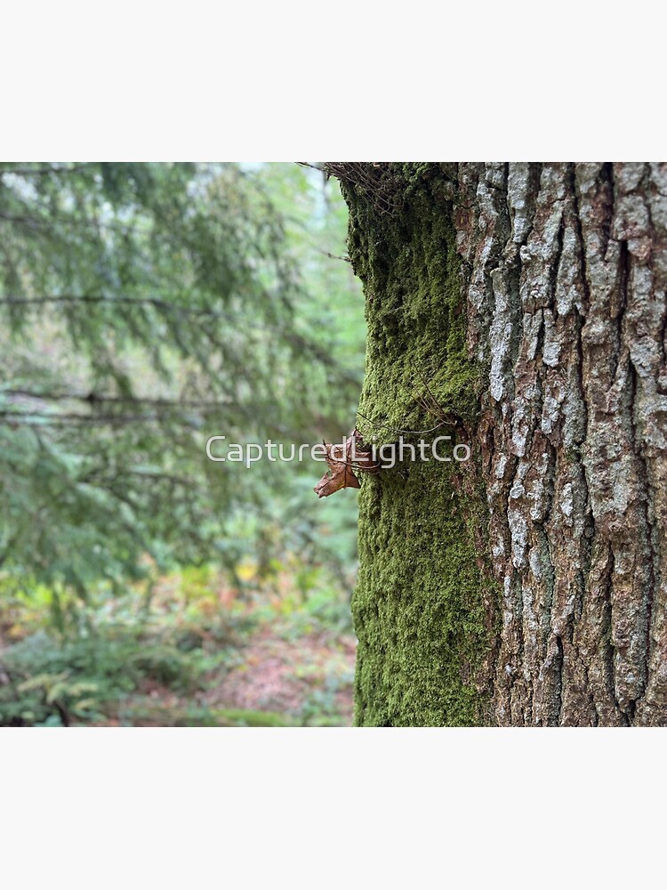 Thumbnail 5 of 5, Mouse Pad, Moss and Bark designed and sold by ShaneH29.