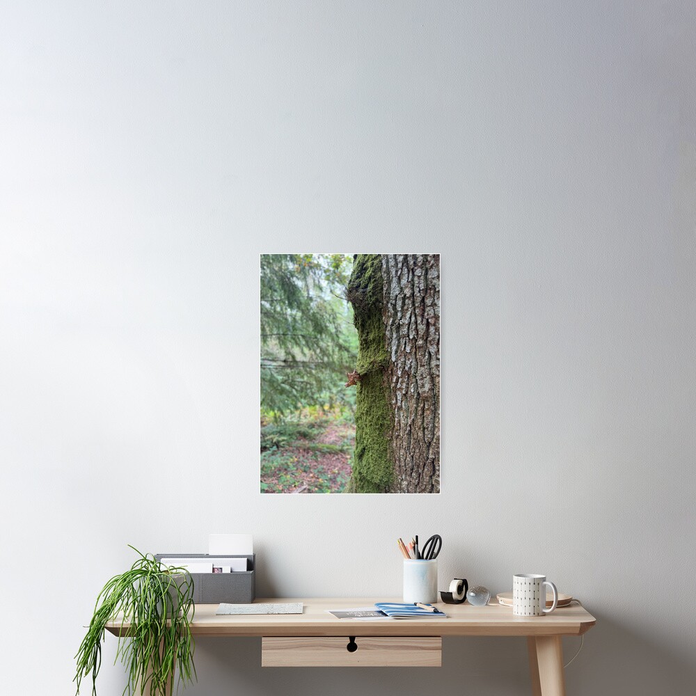 Item preview, Poster designed and sold by ShaneH29.