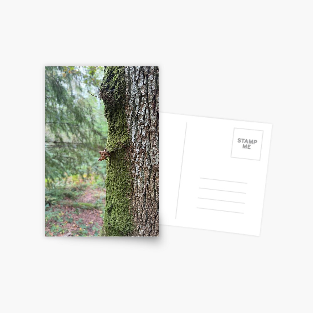Item preview, Postcard designed and sold by ShaneH29.