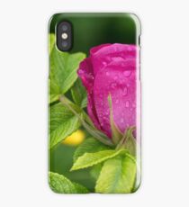 Branch of Briar With Flower With Water Drops iPhone Case