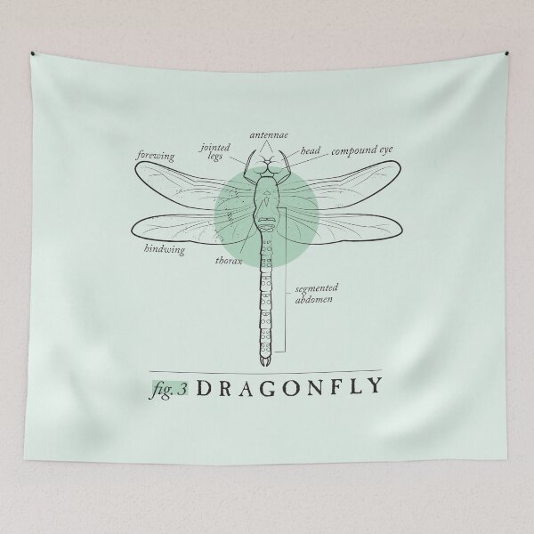 Item preview, Fig. 3 Anatomy of a Dragonfly designed and sold by MudAndMarrow.