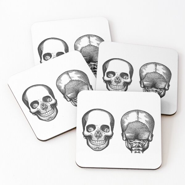 Item preview, skull anatomy designed and sold by MickeyEdwards.