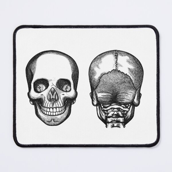 Item preview, skull anatomy designed and sold by MickeyEdwards.