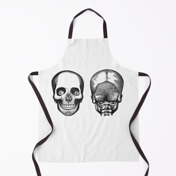 Item preview, skull anatomy designed and sold by MickeyEdwards.