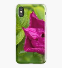 Branch of Briar With Flower With Water Drops iPhone Case