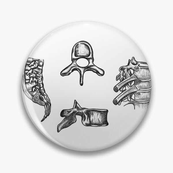 Item preview, spine anatomy designed and sold by MickeyEdwards.