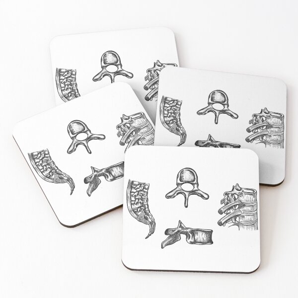 Item preview, spine anatomy designed and sold by MickeyEdwards.