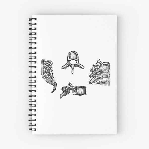 Item preview, spine anatomy designed and sold by MickeyEdwards.
