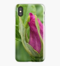 Branch of Briar With Flower With Water Drops iPhone Case