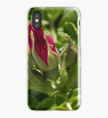 Branch of Briar With Flower With Water Drops iPhone Case