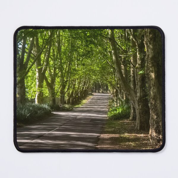Item preview, Scenic Tree Tunnel Road – Landscape Nature Photography Print designed and sold by jacoalberts.
