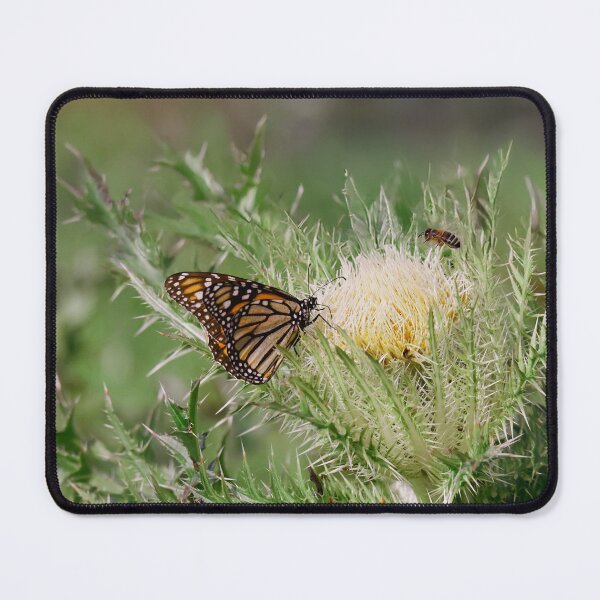 Item preview, Texas Spring designed and sold by anchorsofhope.