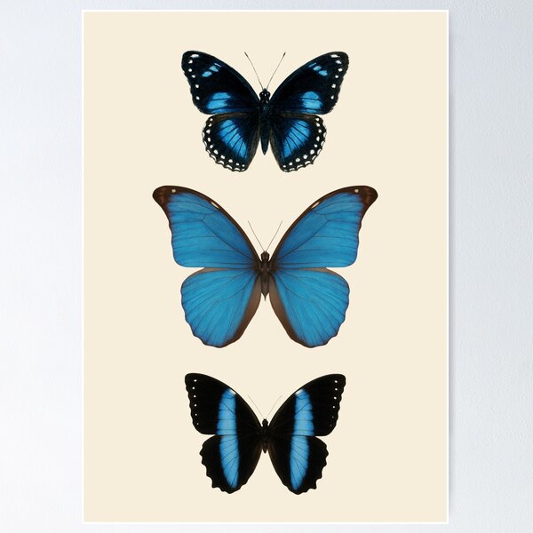 Item preview, Striking Blue Butterfly Trio Art Print – Bold Insect Wall Decor designed and sold by Andrea Lauren.