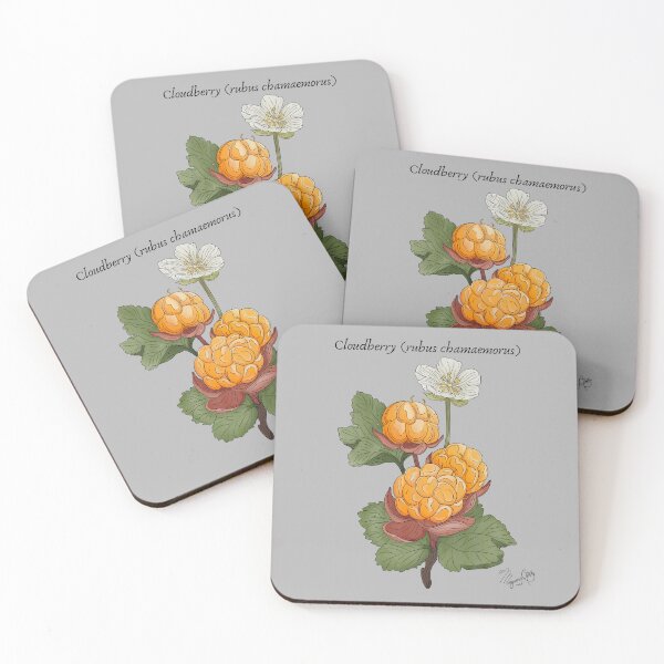 Item preview, Cloudberry (Rubus chamaemorus) Vintage Nature Art designed and sold by Marguerite Artistry.