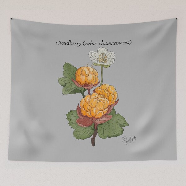 Item preview, Cloudberry (Rubus chamaemorus) Vintage Nature Art designed and sold by Marguerite Artistry.